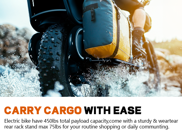 20 Inch Electric Cargo Bike 48V 750W Folding Urban Commuter Ebike for Family Kids Pets Large Rack City Transport