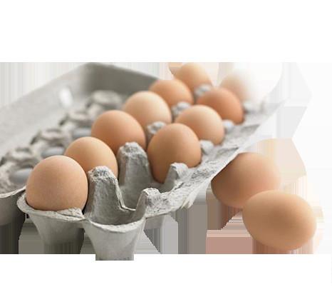Durable Fully Automatic Pulp Moulding Paper Egg Tray Machinery with CE
