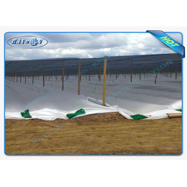 Durable Anti-UV Garden Weed Control Fabric / Agricultural Non Woven Fabric