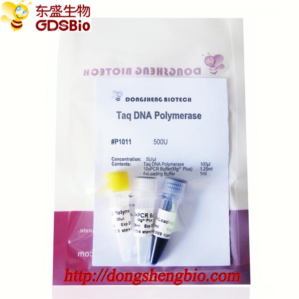 Taq DNA Polymerase P1011 500U PCR Master Mix Blue Buffer