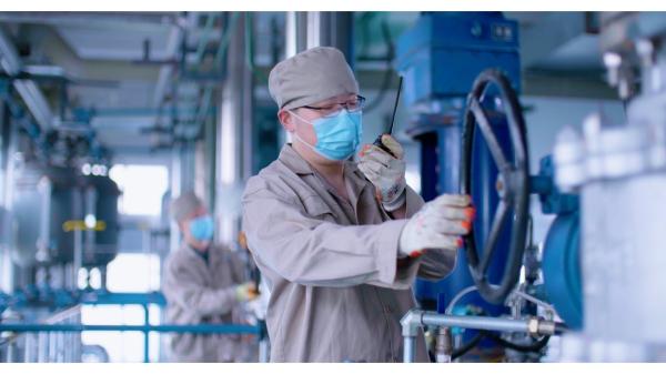 Pharmaceutical Grade Croscarmellose Sodium for Chemical Reagent Medicine Grade Standard