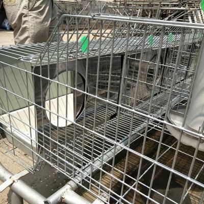 50 - 80 Babies Rabbit Breeding Cages , Two Tier Rabbit Hutch Environmental Friendly