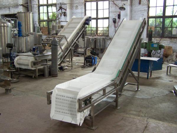                  Palletizing Roller Conveyor for Carton and Bag, with Pallet Magazine             