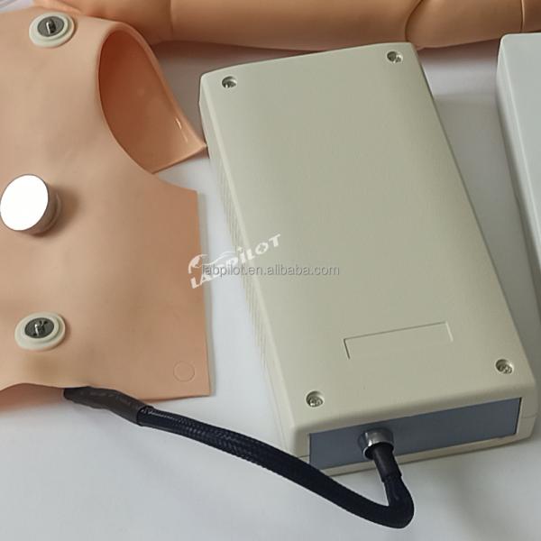 Comprehensive Maternity and Pediatric Care Mannequin for Advanced PVC CPR ECG Training