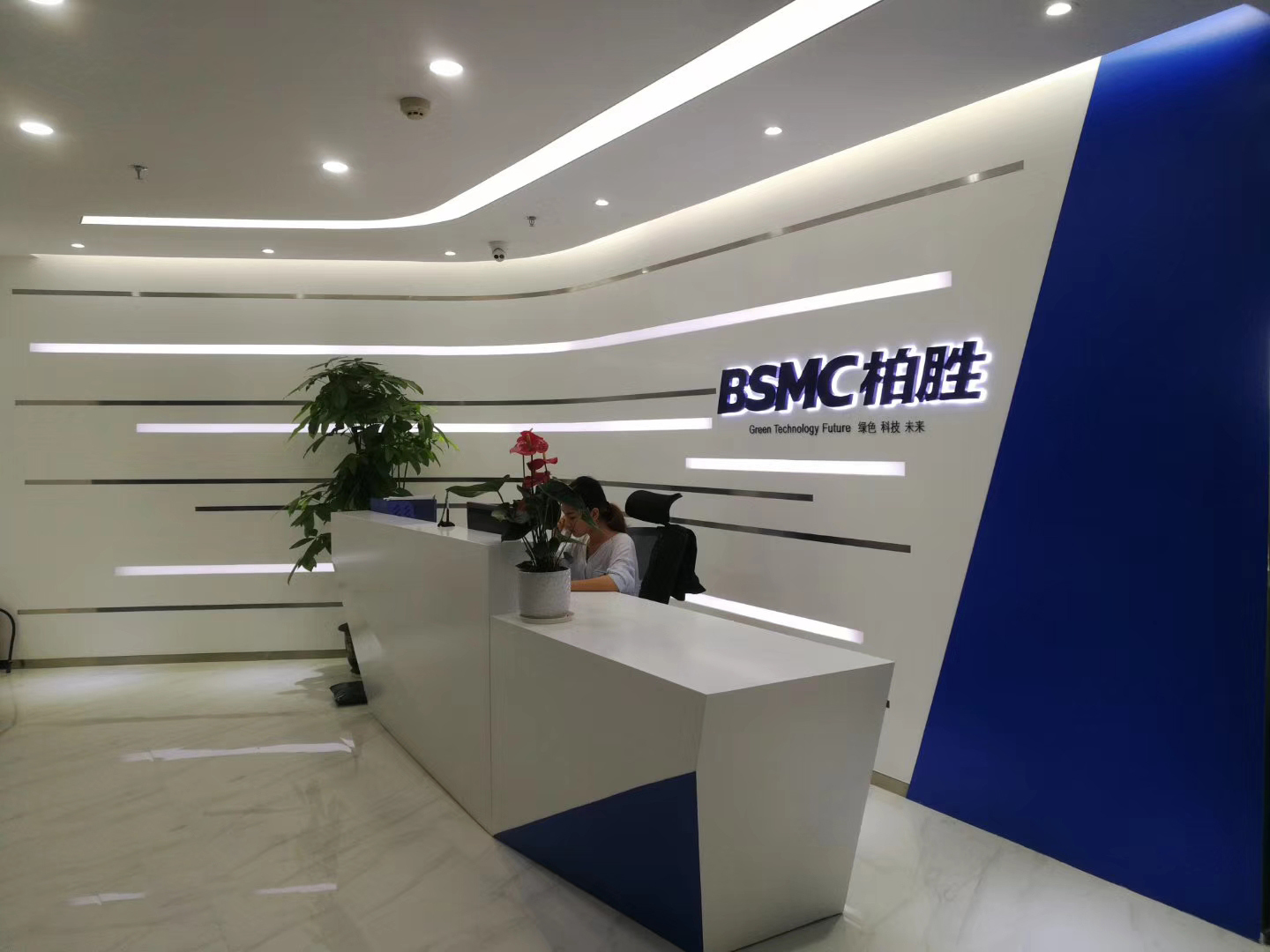 Guangdong BSMC New Material Co., Ltd.