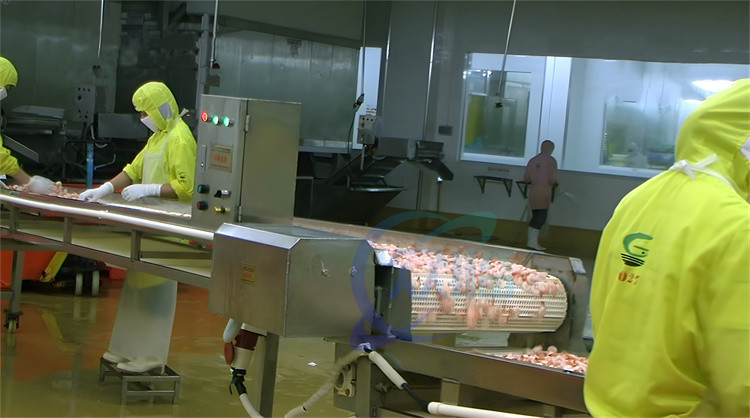 Sushi Shrimp Cooking Machine 1000KG Shrimp Boiling And Belt Steam Blanching