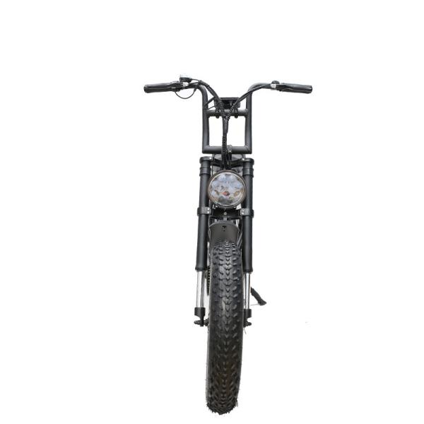 Electric Hybrid Bike 20 Inch Big Tyre Bike 48V 20AH Long Range with 50-60 Nm Torque