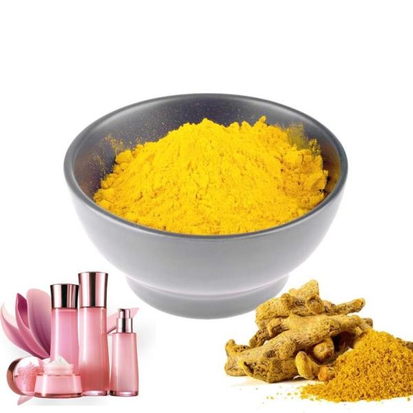 Pure Natural Bulk Turmeric Extract Powder Curcumin 95% 98% Canned Food Use