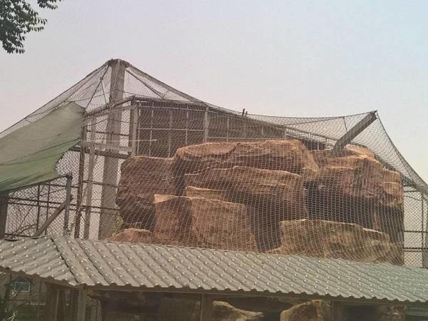 7x19 Stainless Steel Wire Rope Mesh For Green Plant Climbing Trellis wire Mesh Stainless Steel Rope Mesh with Ferrules