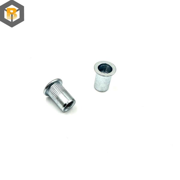 Mini Pack Blind Rivet Nut Threaded Fasteners Spare Part with Polishing Finish BY-0504
