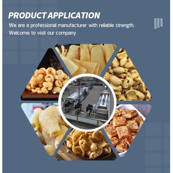 Fully Automated Stainless Steel Lard Fryer Production Line With 2500 X 800 X 1300mm