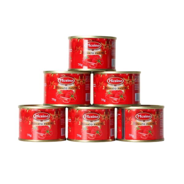 OEM Brand 2200g +70g Canned Tomato Paste 6 Tins Each Organic for Cooking