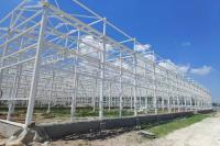 Estructura galvanizada por inmersión en caliente Invernadero de película plástica multitramo para el cultivo de arándanos