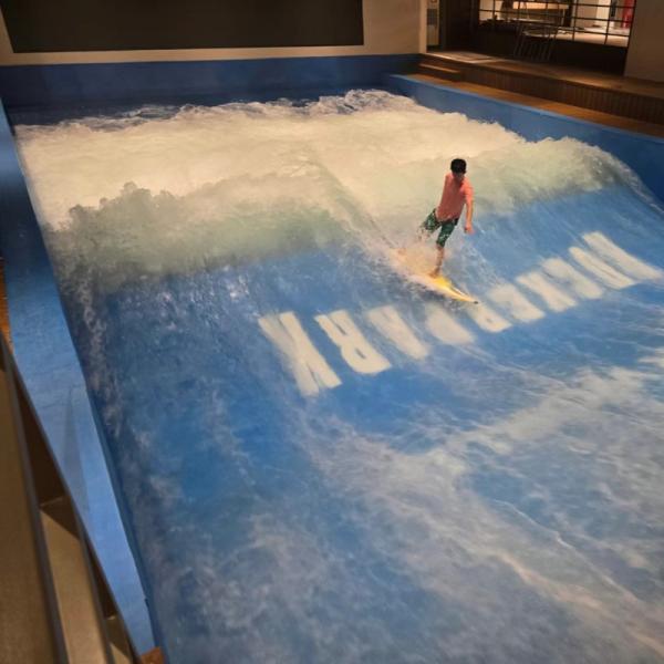 Customized Surf Simulator Machine Surf Style Flowrider Indoor Surfing Wave Machine