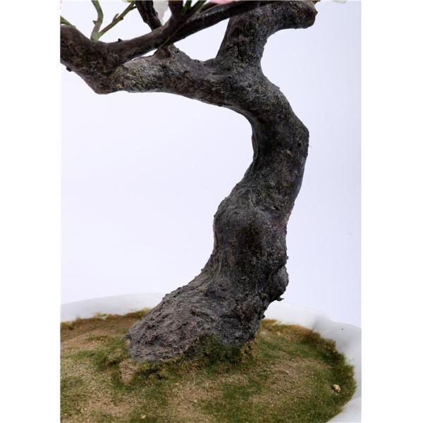 Вечнозеленое искусственное украшение завода влаги дерева бонзаев устойчивое поддельное