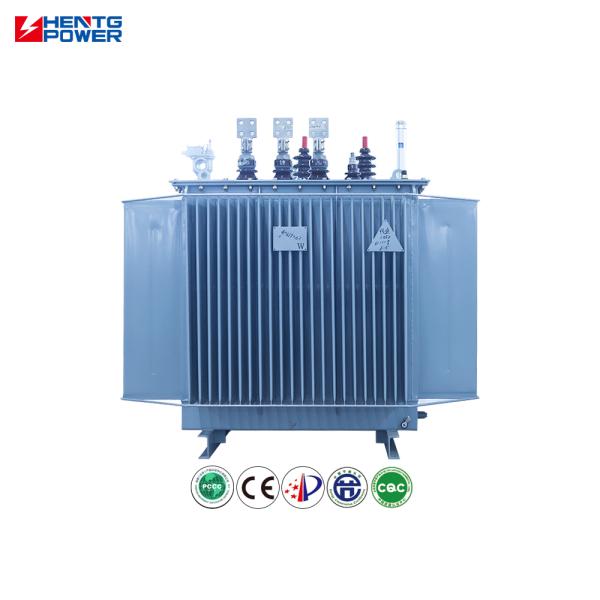 Energy Efficient Industrial Grade Distribution Transformer, 160kVA 11kv 0.4kV Oil Immersed Type Compliant IEC60076 for African Regional Power Supply Project