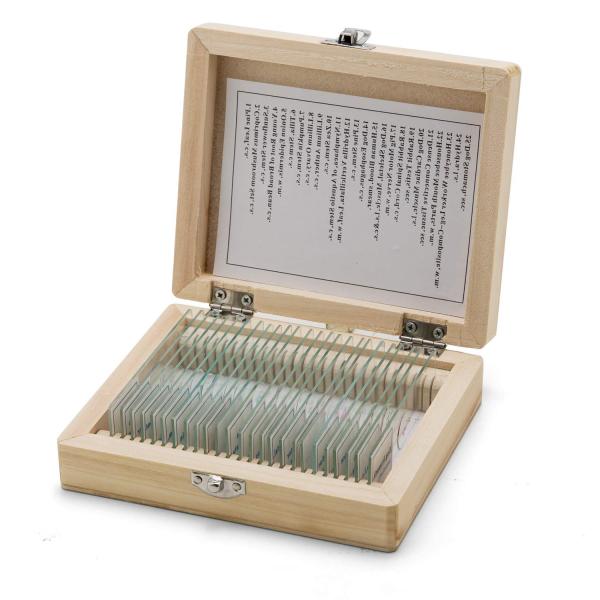 High Quality Hot Sale Human Histology 25pcs Biology Microscope Glass Slides For Lab Research Study