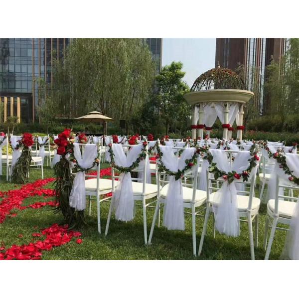 Hotel Celebration Organza Polyester Chair Back Cover