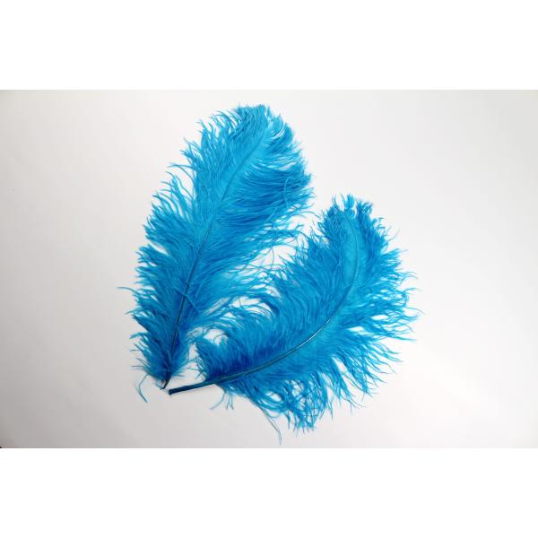 Carnival Costumes Decoration Millinery Feather , Ostrich Plume Feathers Multi Colored