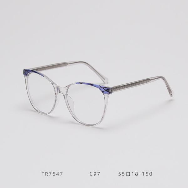 Exquisite TR Frames Glasses Optical Eyewear Anti Blue Light Optical Lens