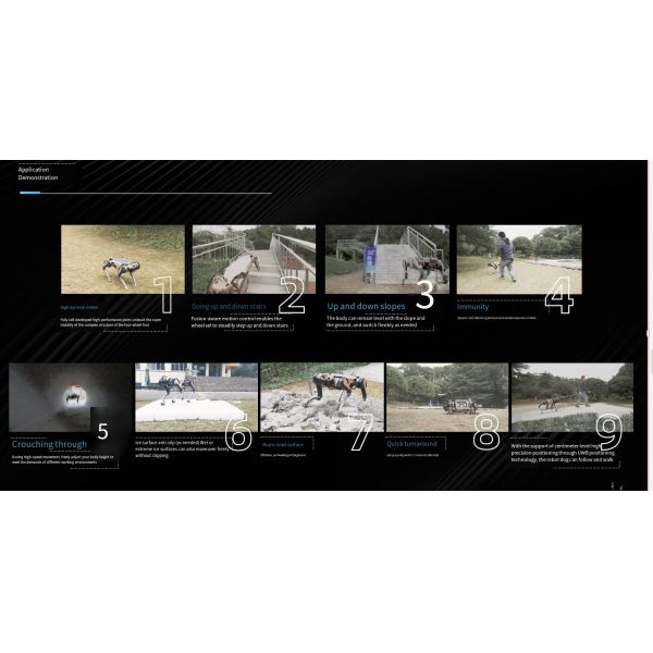 Four-legged Robotic Dog Platform with Mechanical Stability for B2B Applications