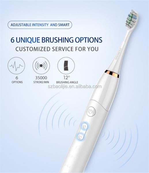 Oral Hygiene Portable Adult Electric Toothbrush 5 Hrs Charge Lasts 30 Days