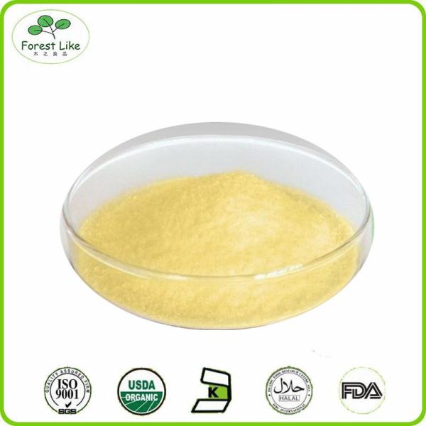 New product Spray dried jackfruit juice powder