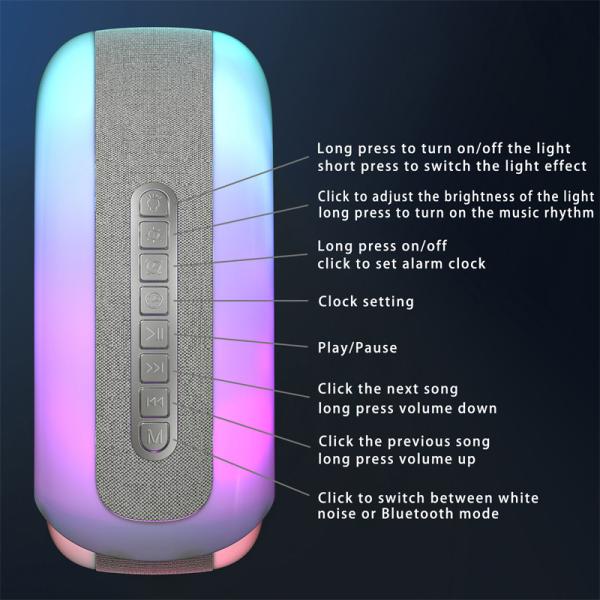 Music Play Conch Music Lamp G Speaker Lamp Built-in 2000mAh Rechargeable Battery and OEM / ODM Support