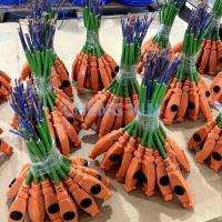 Controlador de calefacción de tuberías de auto-regulación para un rendimiento constante y una eficiencia energética en la gestión de la temperatura de la tubería