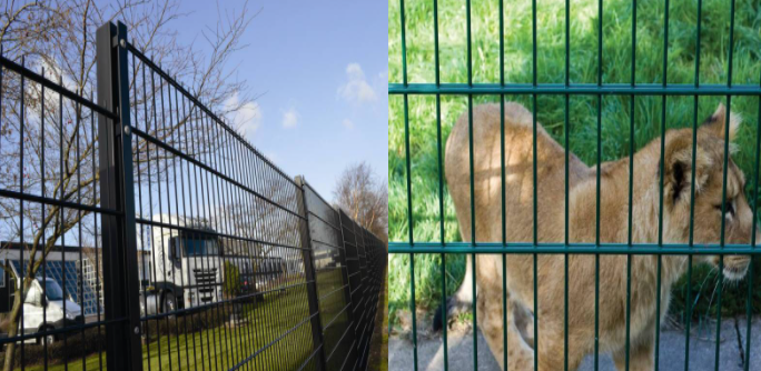 Anti Climb 8/6/8mm Double Wire Fence Panel For Garden Protection