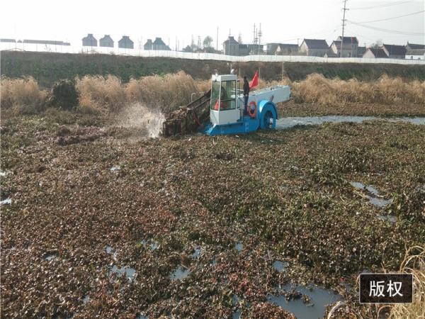 Self Propulsion 10M2 Body Pond Weed Harvester River Weed And Floating Cleaning