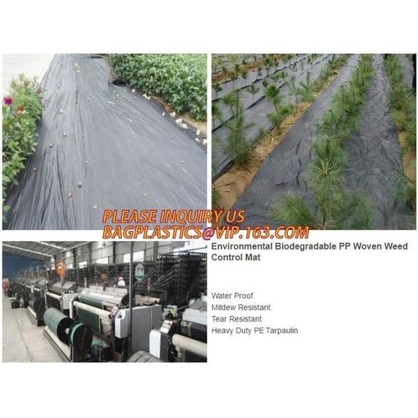 Плантатор сада пластмассы полиэтилена ЛДПЭ кладет в мешки для овоща, дерева и саженец цветка, ЛДПЭ пластмассы отверстия 15 ГАЛЛОНОВ растет б