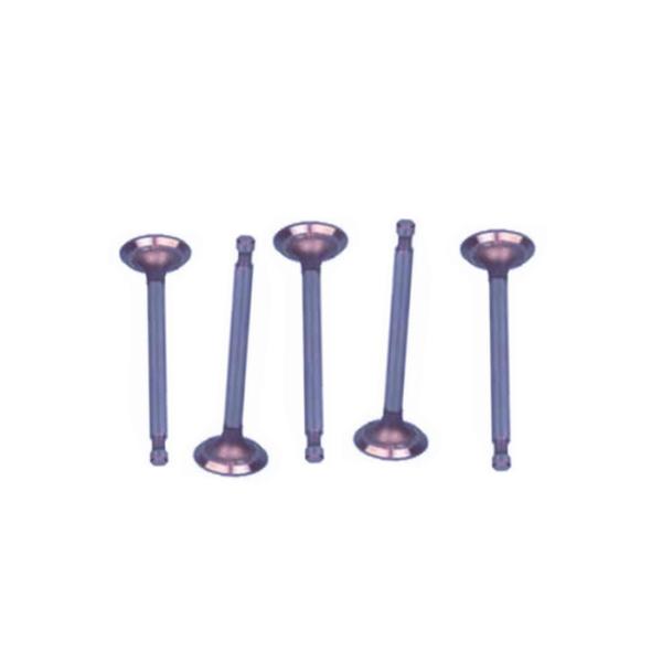 Клапан вдоха G1017444 Carryall тележки гольфа приспосабливает для автомобилей газа 1996-Up DS автомобиля клуба, FE350