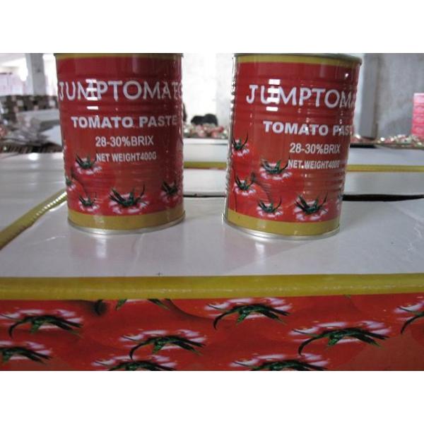 400g tomato paste in can