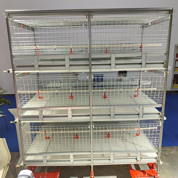Anti Rust HDG H Type Layer Broiler Chicken Cage 16-20 Broilers/Cage