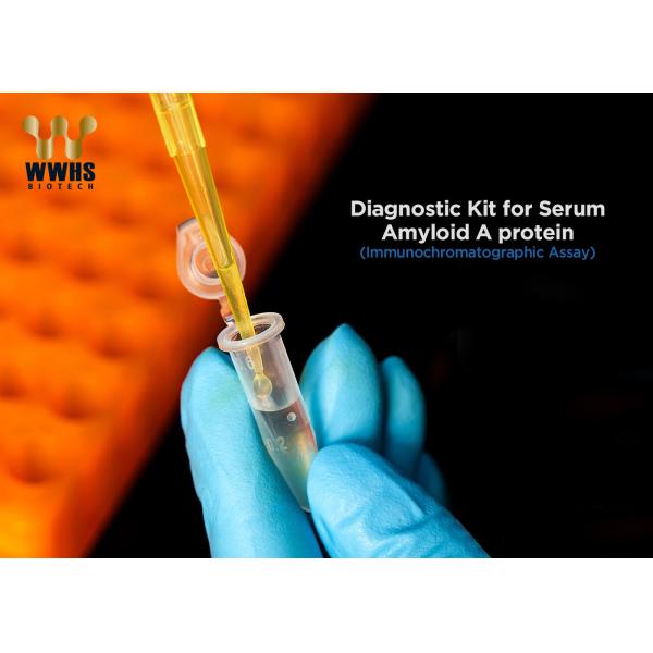 Inflammation Disease SAA Serum Amyloid A Test Kit POCT Assay