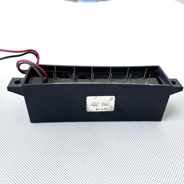 Customized 12 Head Gold Needle Ion Plasma Generator DC24V AIR KJF04-12 For Air Purifier