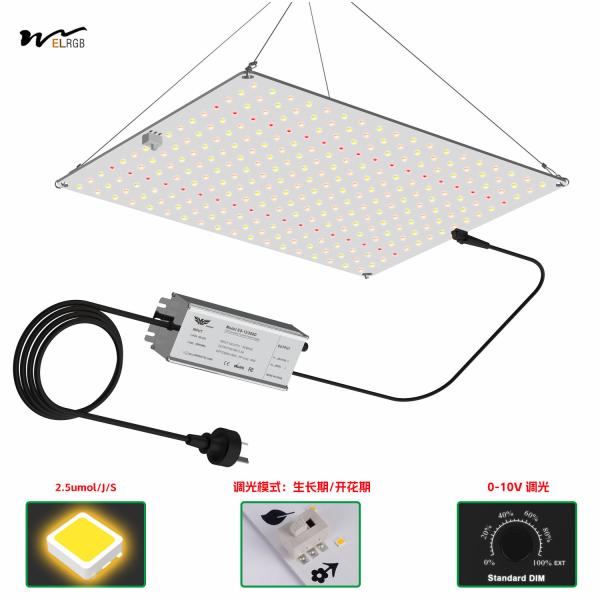 225 perlas LED 8000lm 600W 1200W 2000W luz de crecimiento de las plantas para semillas de suculentas de invernadero