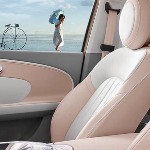 Left Steering 27Ps Ora Ballet Cat Car New Energy Vehicles For Women