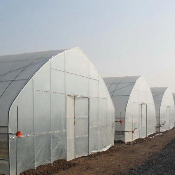 Hot Sale High Tunnel Plastic Single Span Greenhouse Agriculture For Vegetable Farm