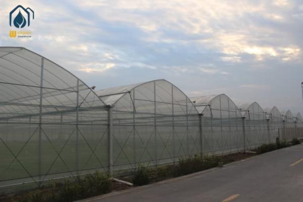Herb Greenhouse Multi Span Indoor Green House For Year Round Cultivation