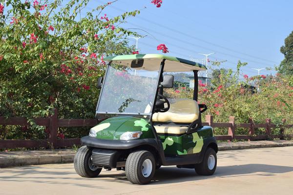 Onward 2 Passenger Electric Golf Cart Trojan Battery CE Approved