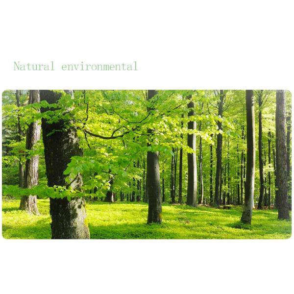 Super Absorbent Disposable Sanitary Napkin Cotton Non Woven Layer Style For Women