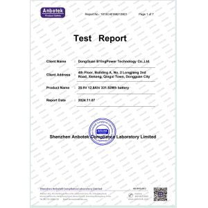 DongGuan BYingPower Technology Co.,Ltd. Сертификации