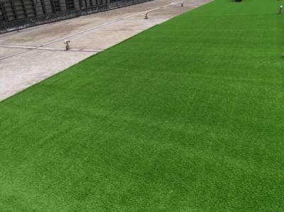Custom Lawn Grass Carpet For Golf Driving Ranges Park Kindergarten