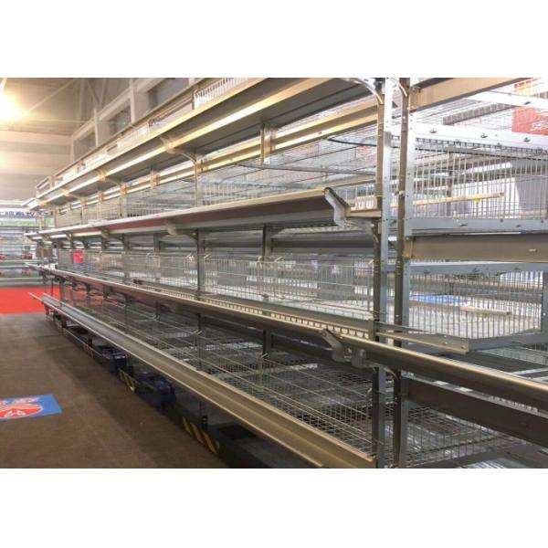 Industrial Broiler Chicken Cage Farming Conventional Cages For Laying Hens