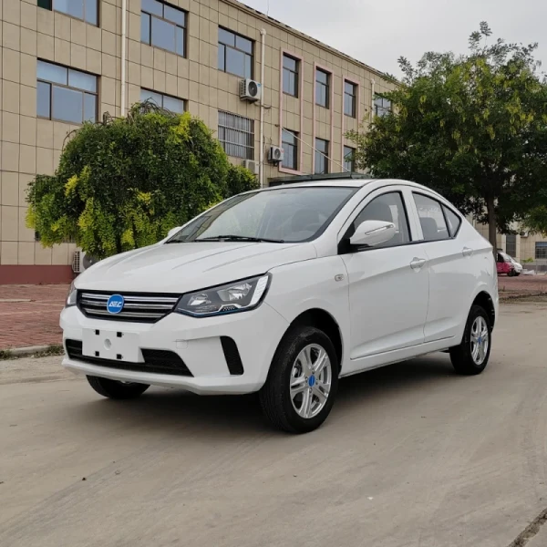 New energy factory price fast electric car China supplier hot sales electric car adult