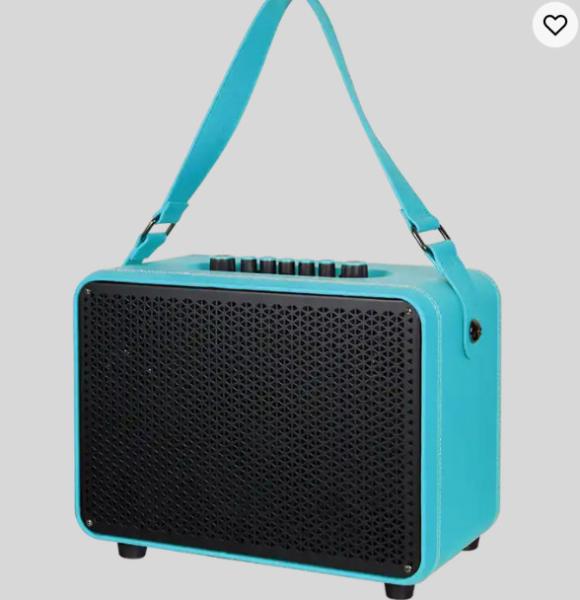 Popular Active Tws Portable Speaker USB 6.5 Inch Karaoke Speaker With Mics
