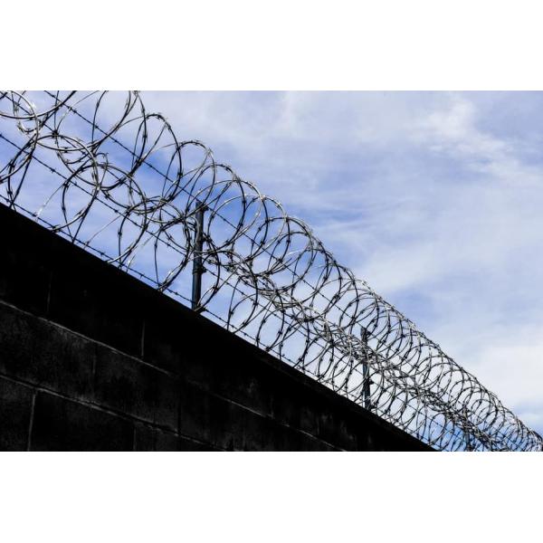 Охранитель из оцинкованной колючей проволоки из нержавеющей стали