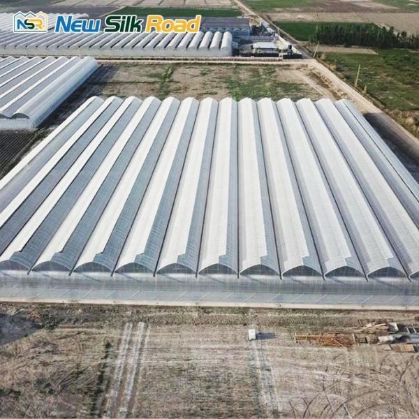 Snow Load 140mm/h Double-Layer Greenhouse for Vegetable Growing Issiqxona in Uzbekistan